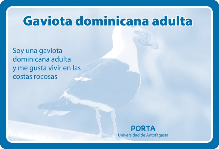 Fauna Reverso