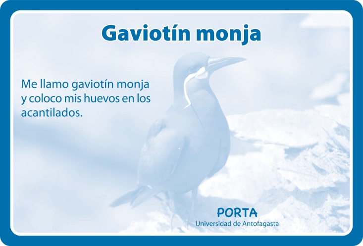 Fauna Reverso