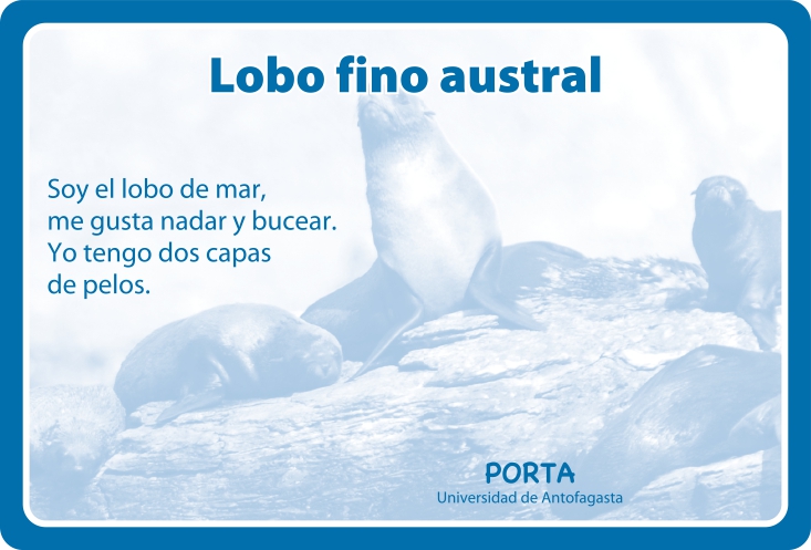 Fauna Reverso