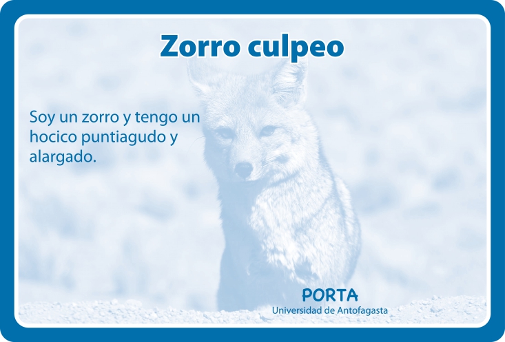 Fauna Reverso