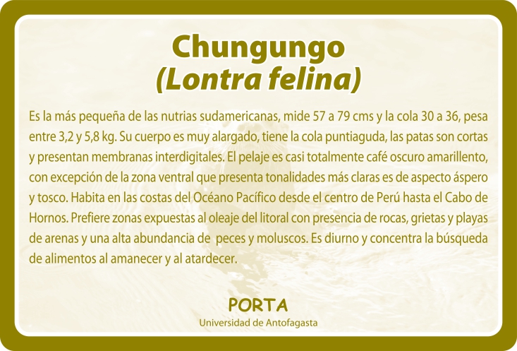 Fauna Reverso